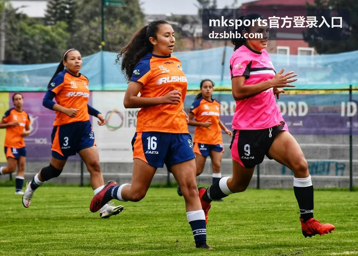mksports官方登录入口 登录操作说明配图