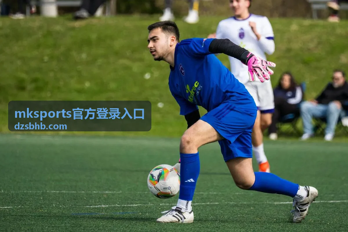 mksports官方登录入口 账号安全与验证封面