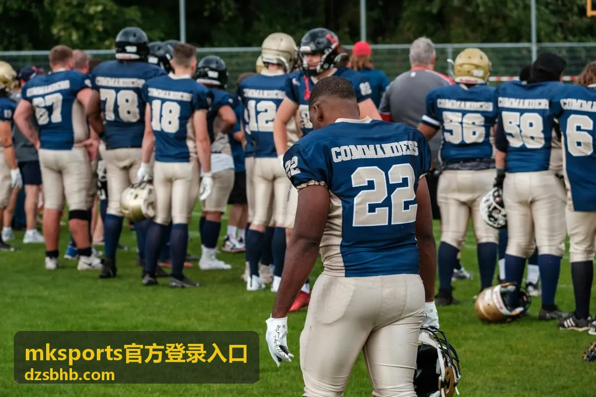 mksports官方登录入口验证码与登录完成示意