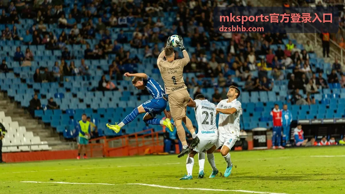 mksports官方登录入口收到异地登录提醒后的处理顺序配图