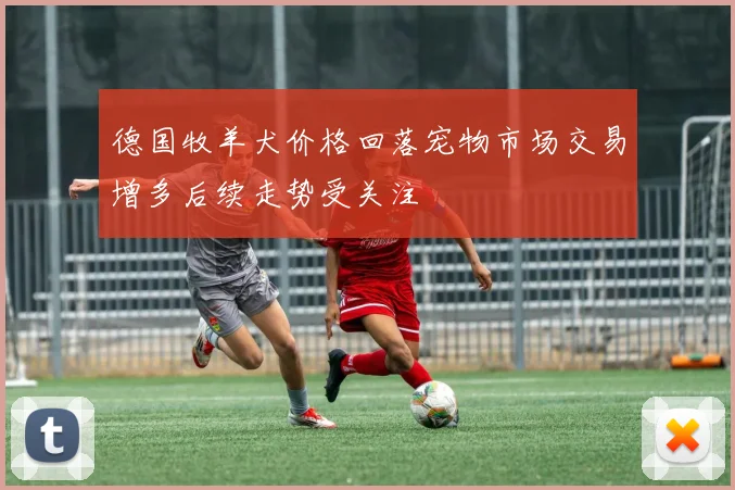 德国牧羊犬价格回落宠物市场交易增多后续走势受关注