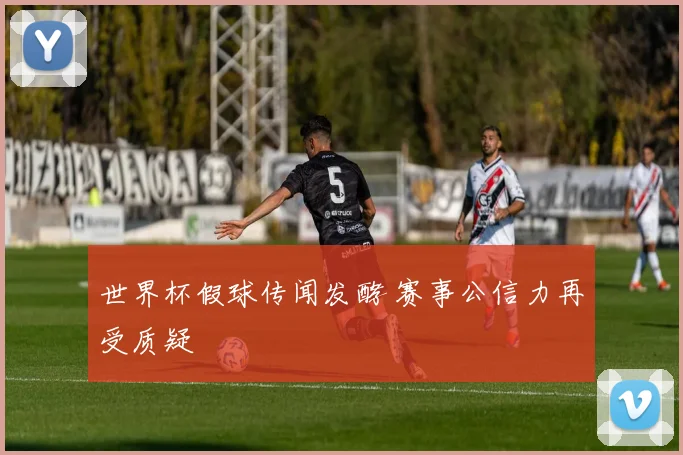 世界杯假球传闻发酵 赛事公信力再受质疑