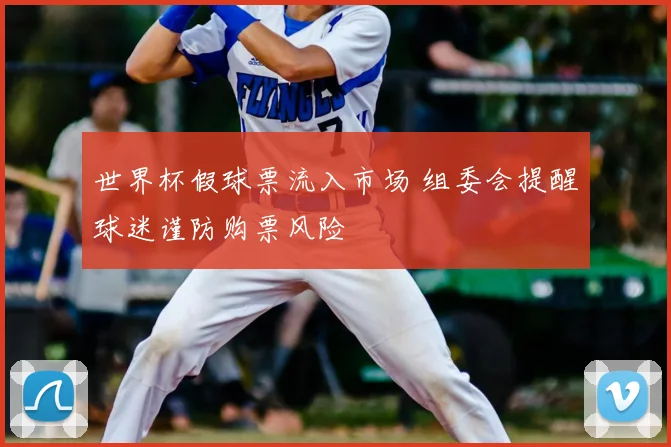世界杯假球票流入市场 组委会提醒球迷谨防购票风险
