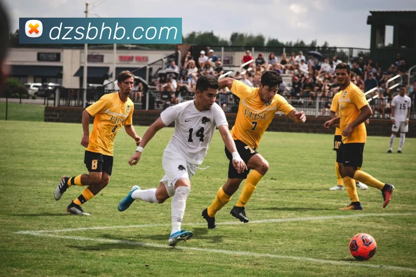 世界杯官方网络平台APP 高清赛事图